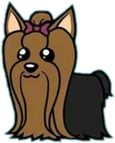 Yorkie Yorkielove Yorkiepuppy Perroyorkie Dog Perro - Dog (1024x1024), Png Download