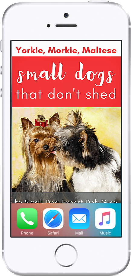 Yorkies, Morkies, Maltese - Biewer-york Round Ornament (451x931), Png Download