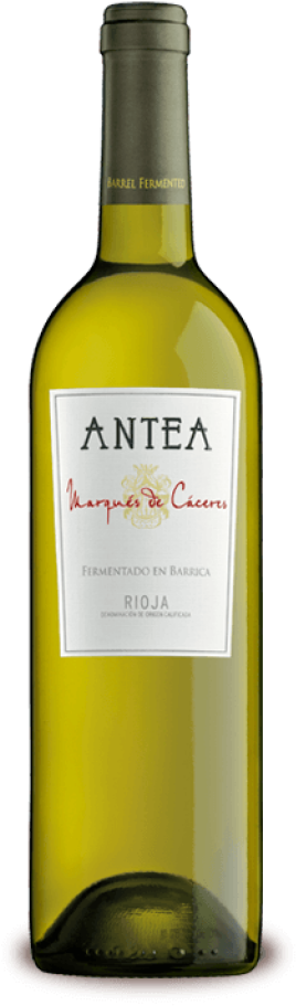 White & Rosé Wines - Antea Marques De Caceres (768x1152), Png Download