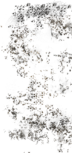 Swarm Of Flies - Monochrome (240x510), Png Download