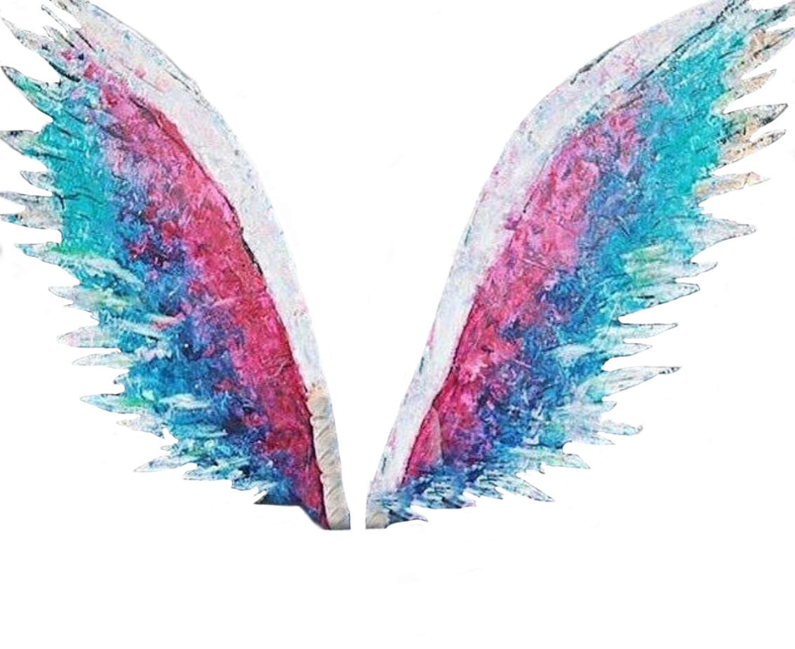 Asas Flies Sticker Tumblr Tumblroutline Overlay - Asas De Anjo Png (1133x925), Png Download