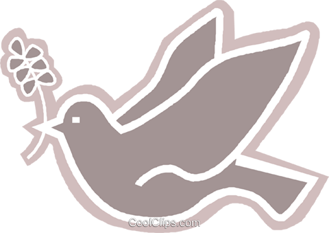 Dove With An Olive Branch In Its Mouth Royalty Free - Pomba Espirito Santo Vetor Png (480x339), Png Download