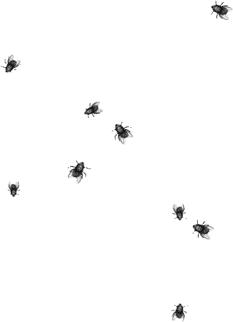 Largest Collection Of Free To Edit Fly Flies Insect - Flies Png (480x663), Png Download