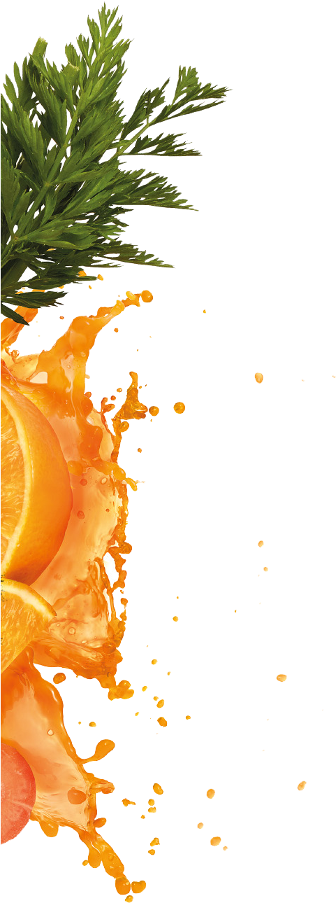 Orange & - Valencia Orange (502x1292), Png Download