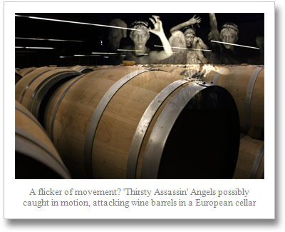 Weepeing Angels Barrels 2 - Wine (420x344), Png Download
