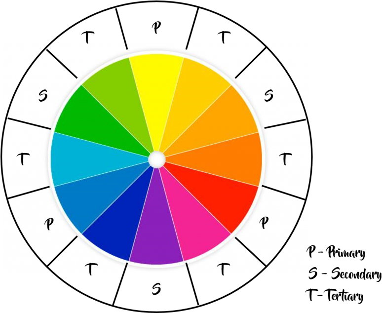 Colour Wheel - Circle (1024x633), Png Download