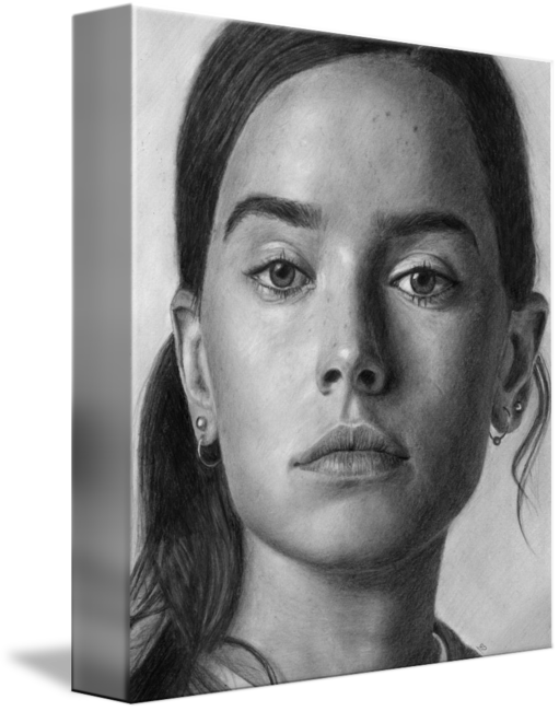 Daisy Ridley Pencll Drawing Portrait By David Rives - Drawing (511x650), Png Download