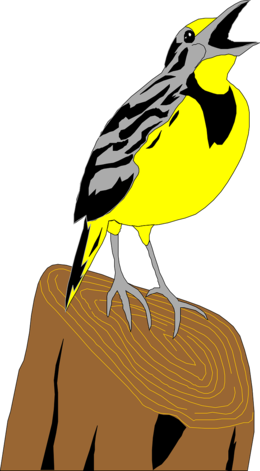 Meadowlark Cartoon (260x471), Png Download