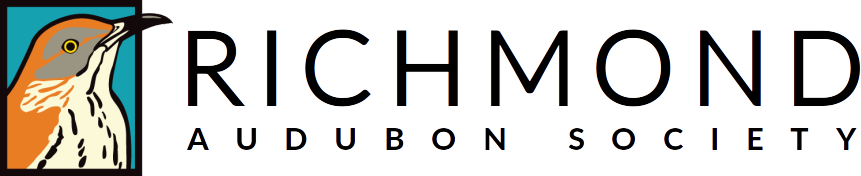 Posted In Thrasher - Graphics (861x176), Png Download