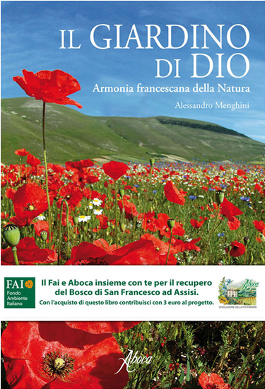 Picture Of Il Giardino Di Dio - Poppy (700x700), Png Download
