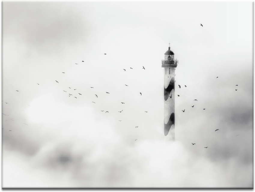 The Fog - Monochrome (900x900), Png Download