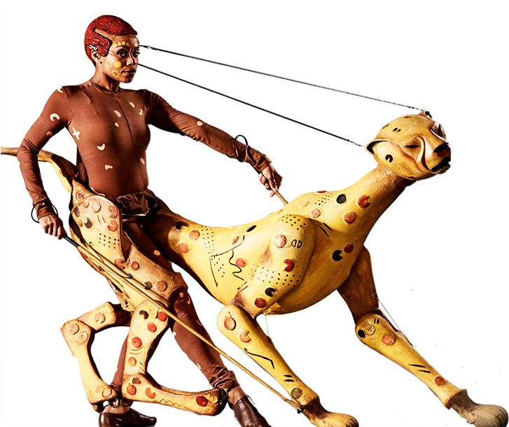 Lion King Cheetah Costume (742x609), Png Download