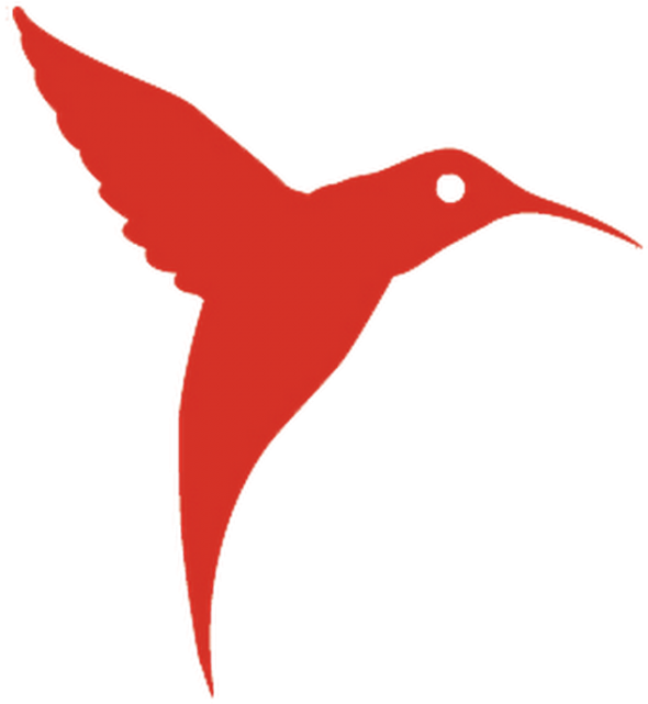 Jpg Free Library Hummingbird Clipart Flower Tattoo - Ushuaia Ibiza Logo Bird (840x840), Png Download
