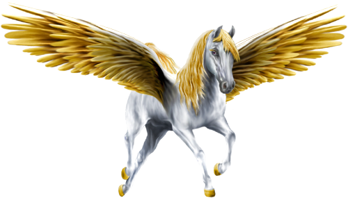 Gold & Silver - Unicorn With Gold Wings (500x285), Png Download
