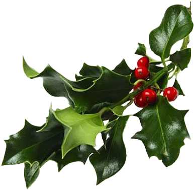 When Christianity Became Widespread In Europe After - Mistletoe Png (440x440), Png Download