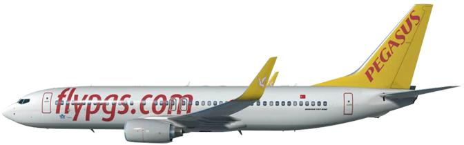 Pegasus Airlines Png - Pegasus Airline Plane Png (1000x445), Png Download