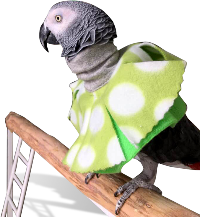 Parrot Poncho For Feather Picking Help - Poncho For Birds (720x960), Png Download