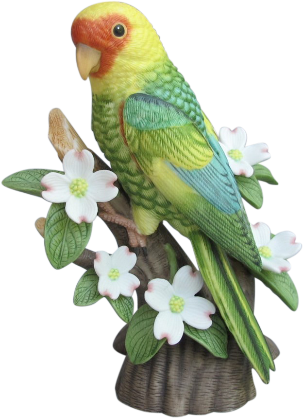 Budgie Drawing Carolina Parakeet - Lenox Figurine (858x858), Png Download