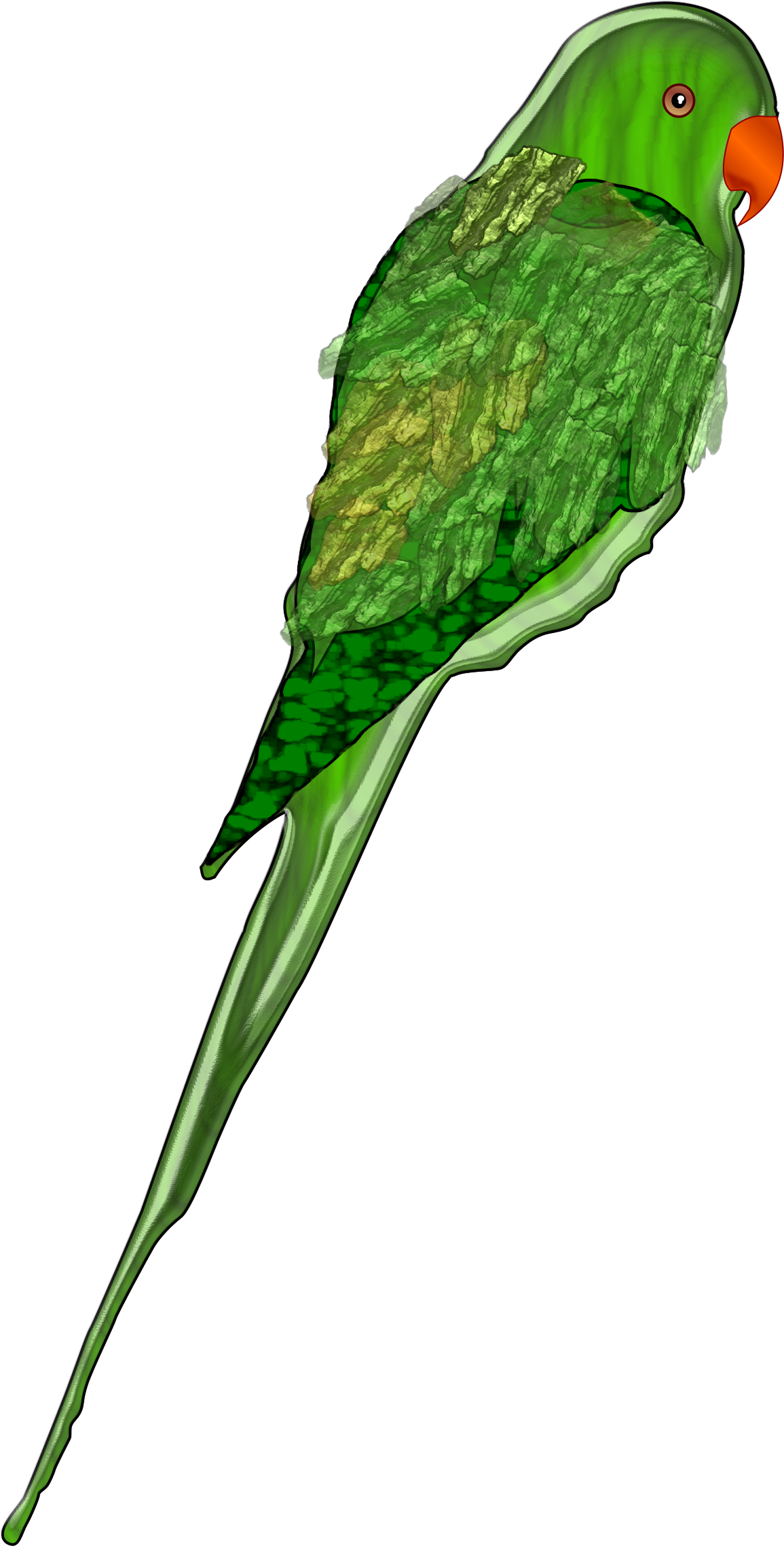 Parrot Png (1533x2400), Png Download