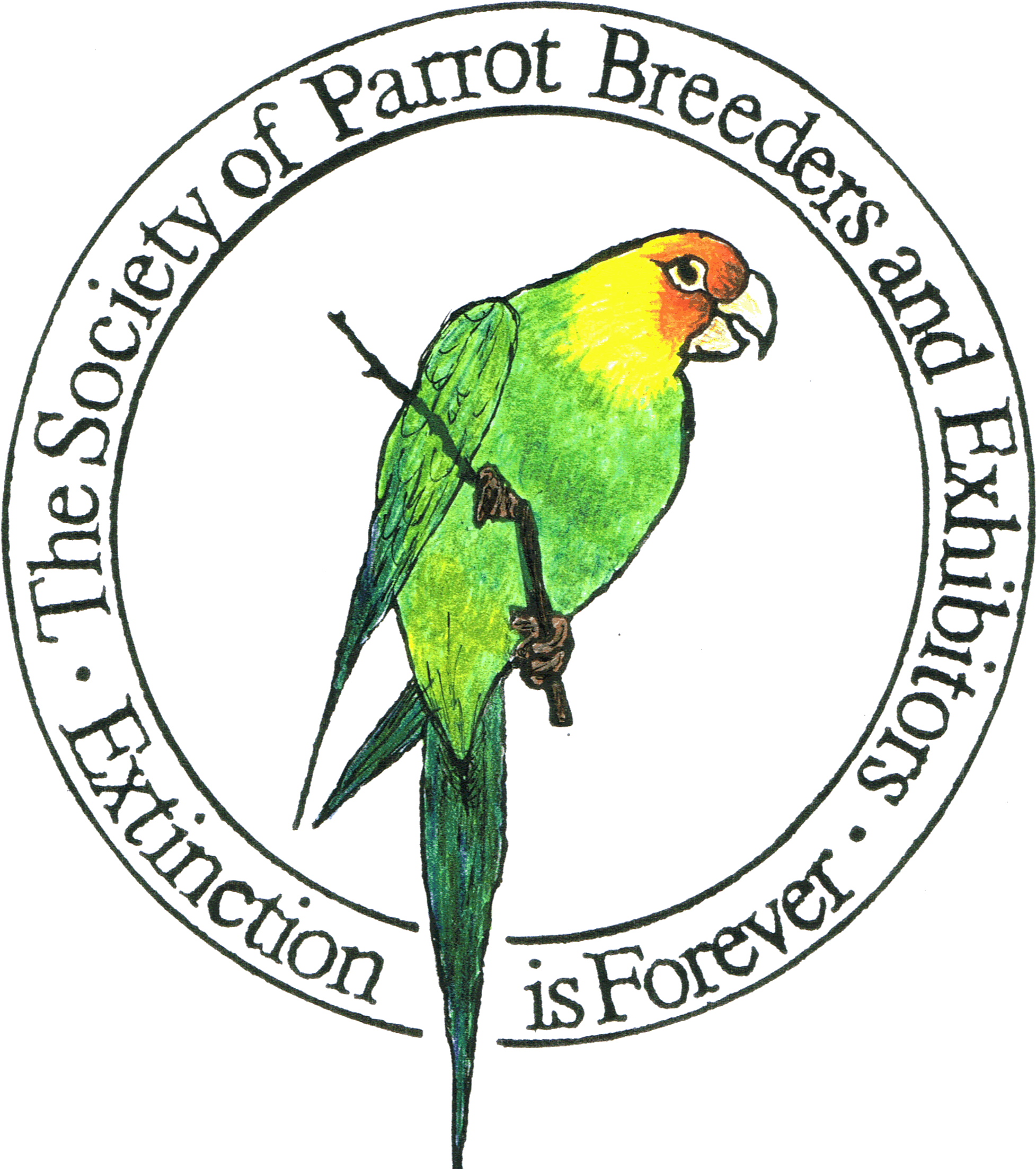 Parrot (1992x2274), Png Download