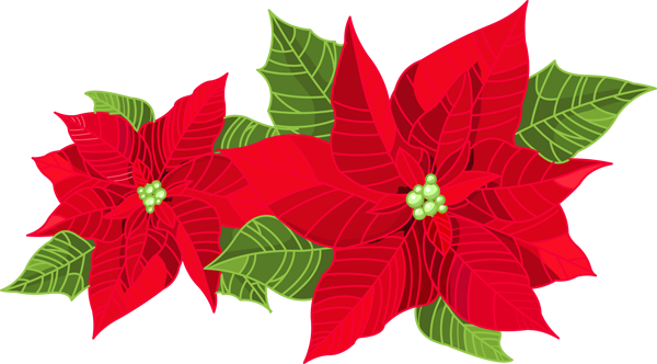Mistletoe Clipart - Poinsettia Clipart (600x332), Png Download