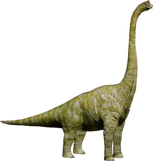 Brachiosaurus - Brachiosaurus Jurassic Park Dinosaurs (567x567), Png Download