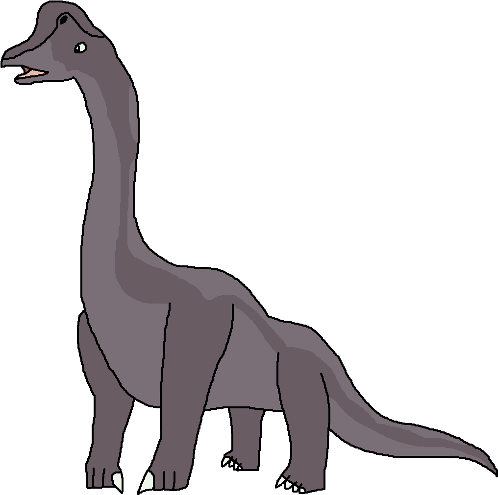 Brachiosaurus - Dinosaur Pedia Wikia Brachiosaurus (1023x1021), Png Download