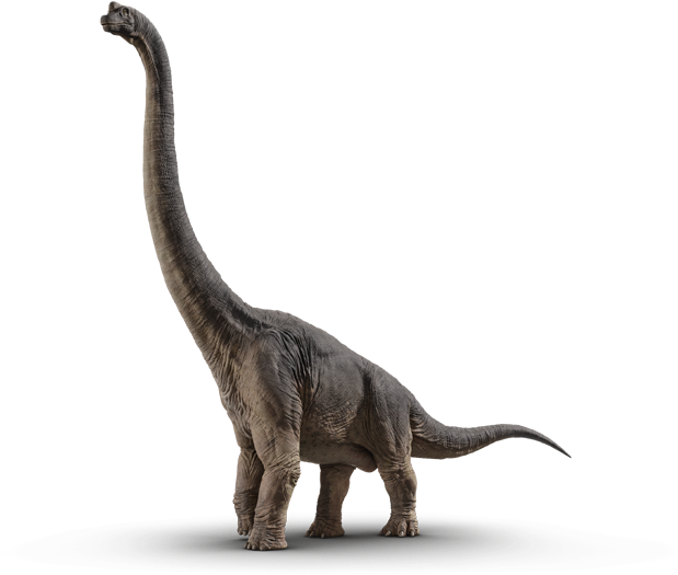 Brachiosaurus - Jurassic World Fallen Kingdom Dinosaurs (640x1204), Png Download