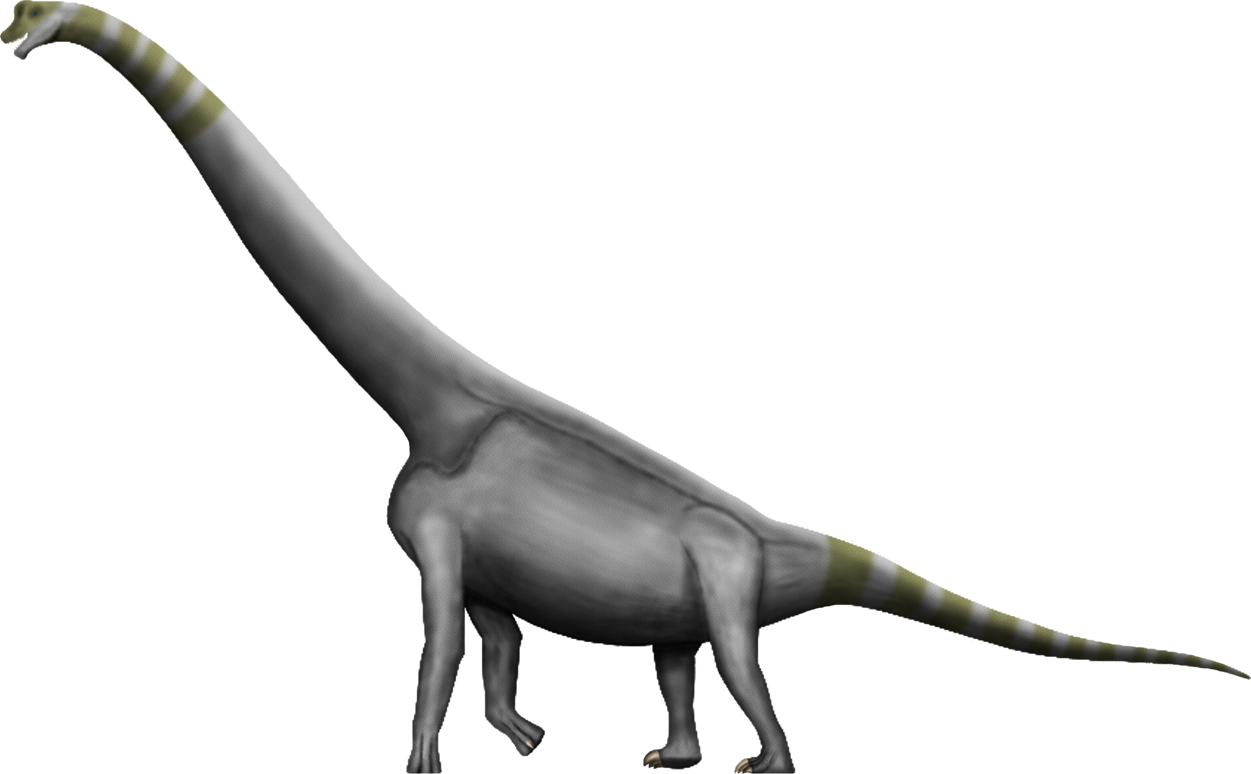 Brachiosaurus Transparent Png - Brachiosaurus Png (2534x1567), Png Download