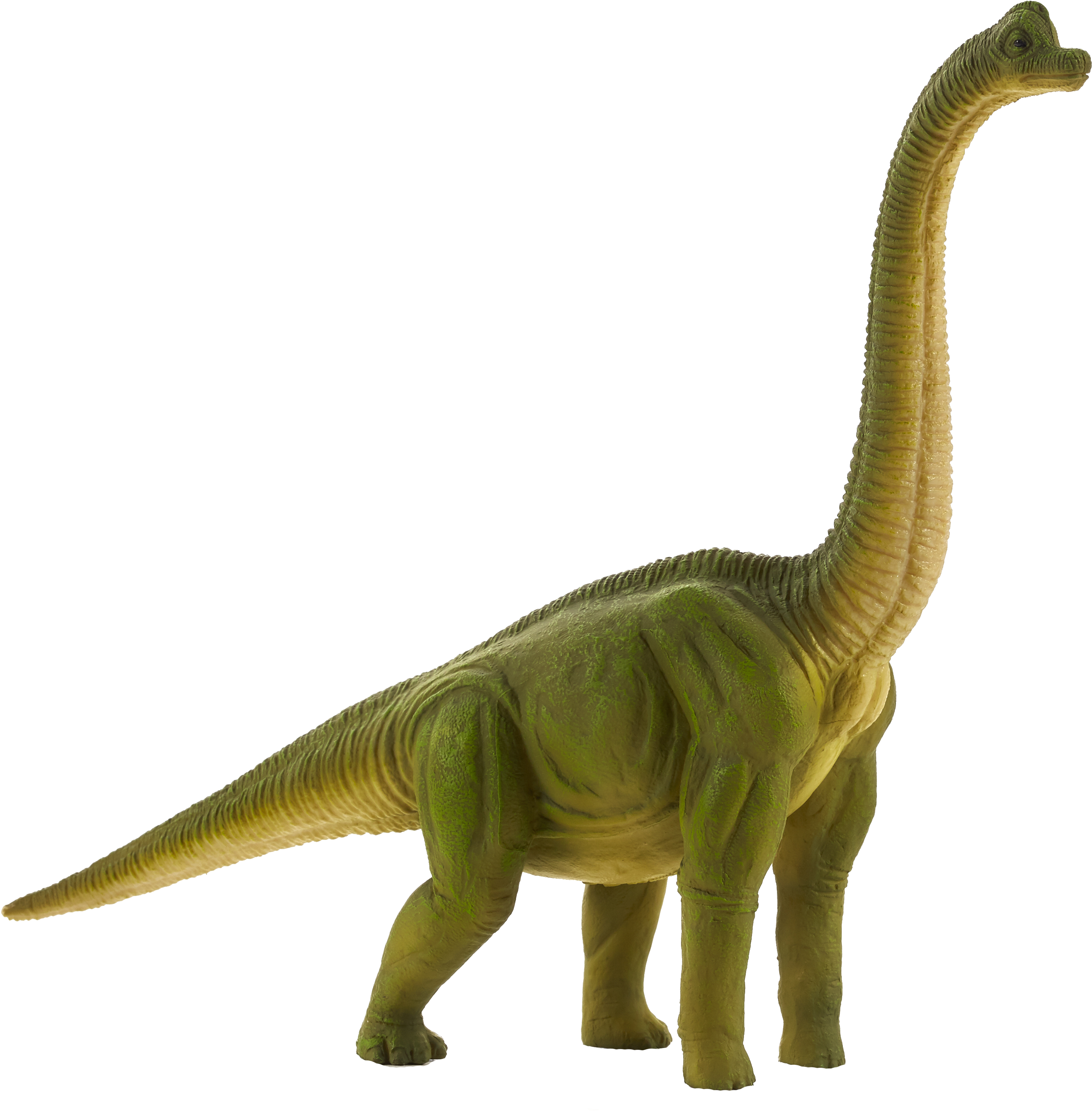 Brachiosaurus - Brachiosaurus Toy (540x533), Png Download