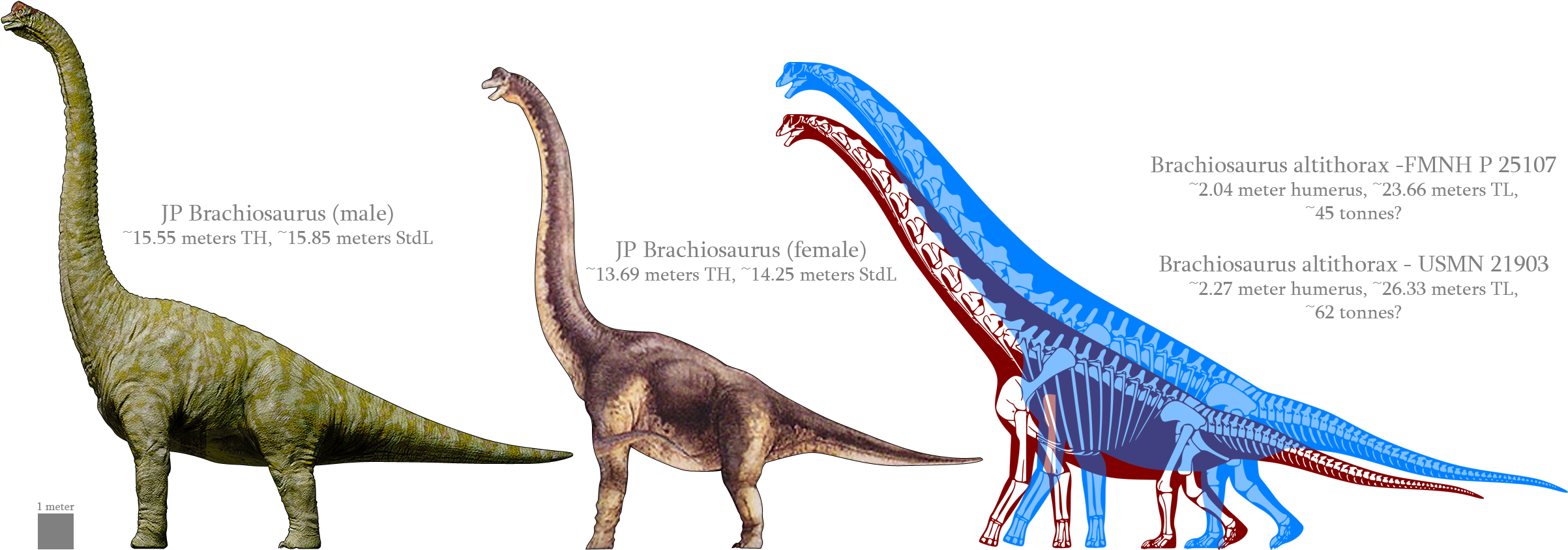 Jp Brachiosaur Vs Rl Brachiosaurus - Jurassic Park (2523x915), Png Download