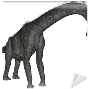 Brachiosaurus (400x400), Png Download