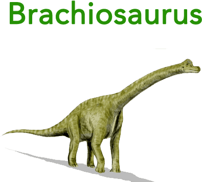 Baby Mozart Abc Flashcard For Children - Dinosaurs Lived In The Triassic Period (400x600), Png Download