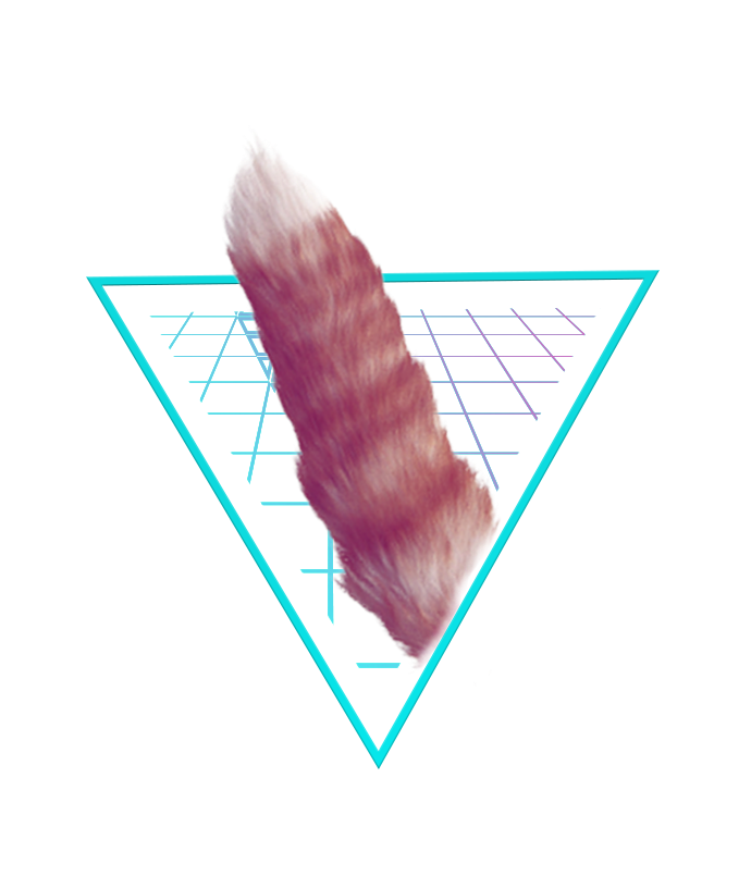 Daniel Duhn - Graphic Design (1920x1080), Png Download