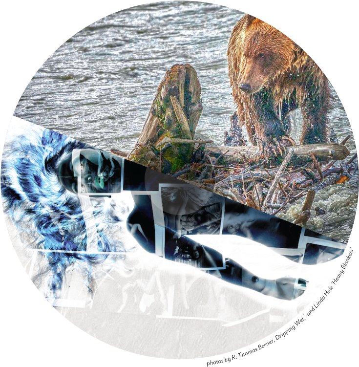 Art At The End Of The Lens Photography Show - Wakeboarding (800x800), Png Download