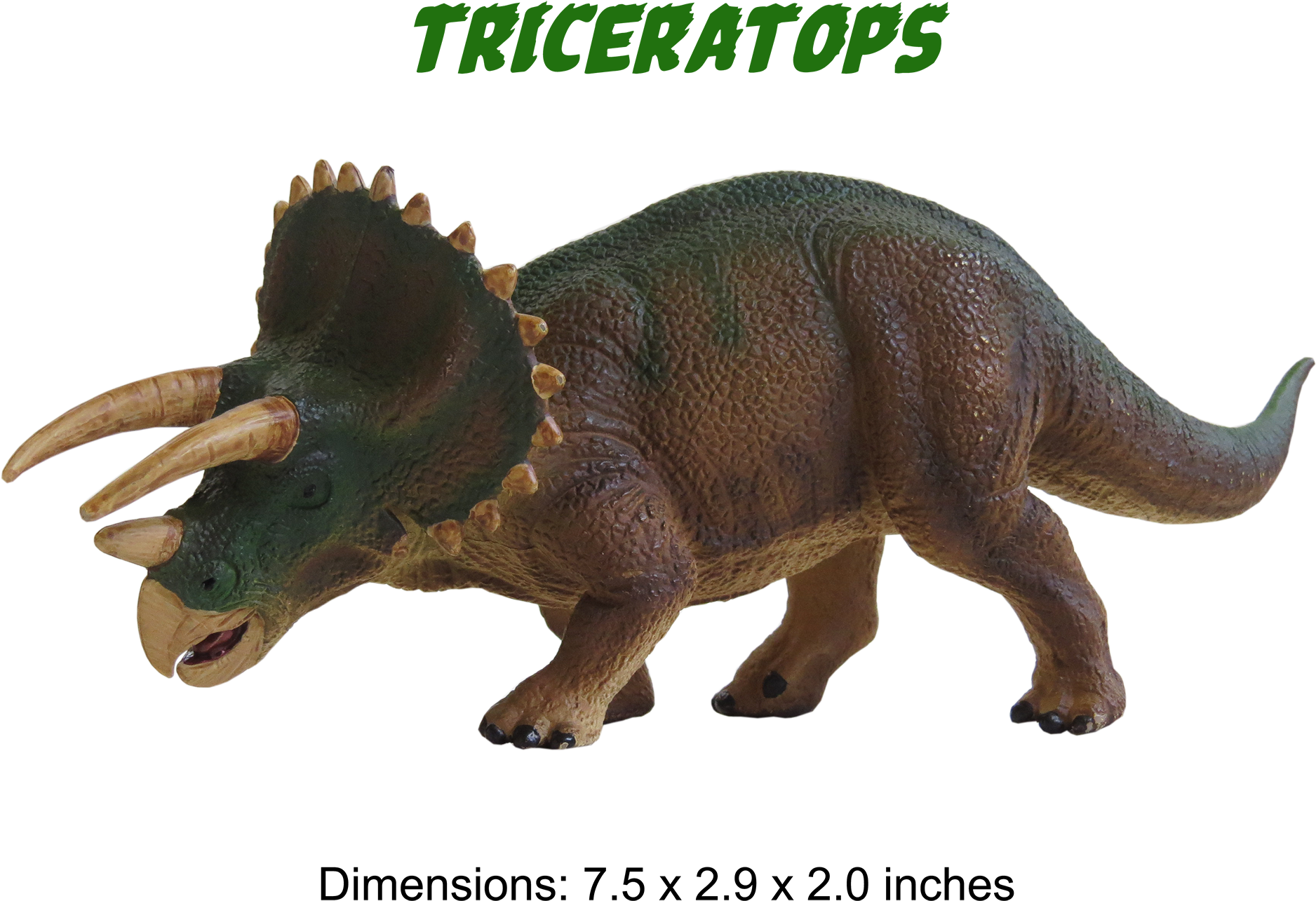Ankylosaurus Model Triceratops Model - Triceratops (2000x1409), Png Download