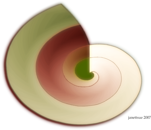 Seashell3 - Circle (800x600), Png Download