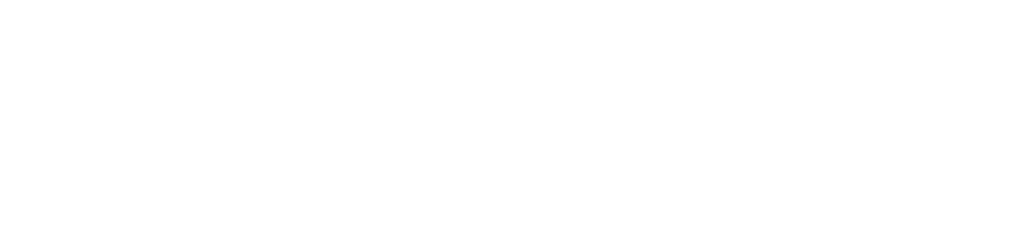 Since 1995, America's Future Foundation Has Been The - America's Future Foundation (2079x513), Png Download
