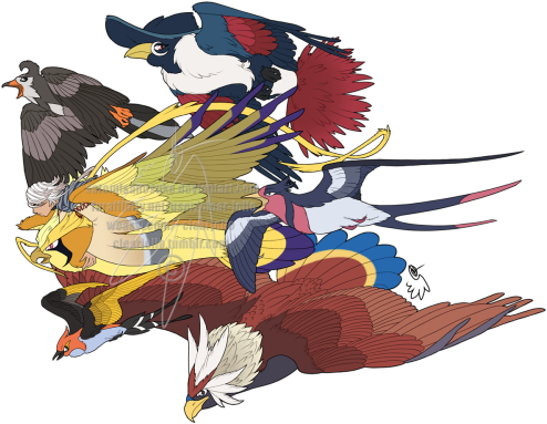 Pidgeot Shiny (500x390), Png Download