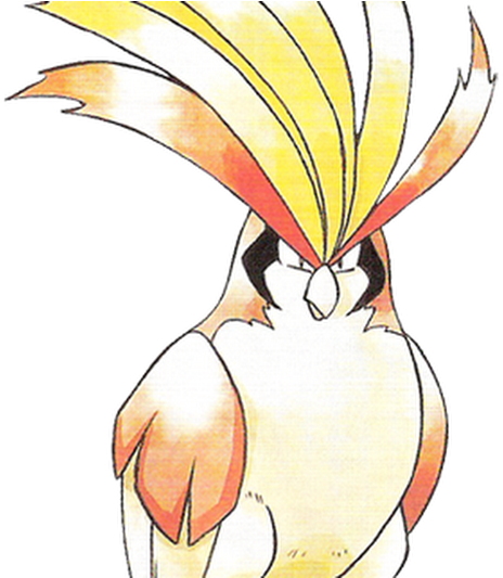 Photo - Pokédex (530x532), Png Download