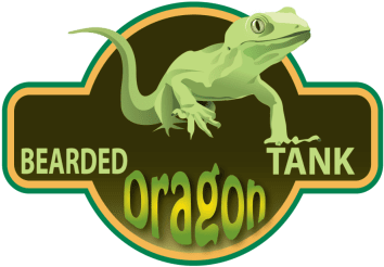 Bearded Dragons (479x370), Png Download