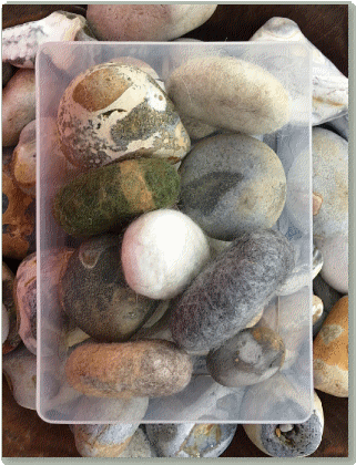 Pebble (493x420), Png Download