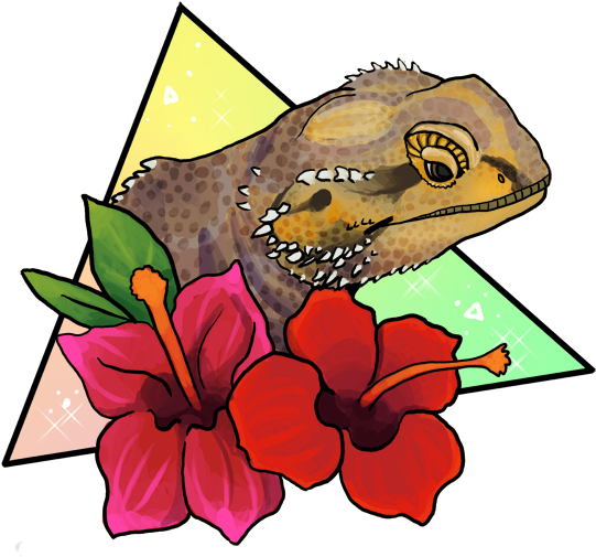 Magical Bearded Dragon - Bearded Dragon And Sloth (595x559), Png Download