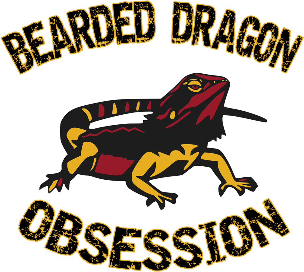 Bearded Dragon Obsession (1000x1000), Png Download