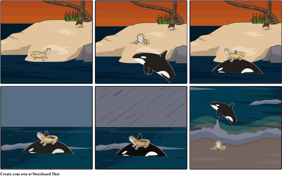 Portable Network Graphics (1164x733), Png Download