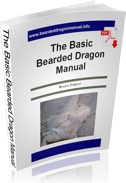 Basic Beaded Dragon Manual - Whale Shark (500x657), Png Download