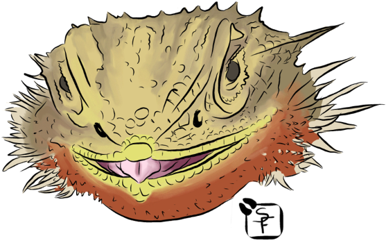 Bearded Dragons (600x600), Png Download