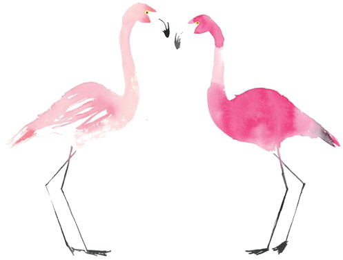 Flamingo Bird Painting Transprent Banner Royalty Free - Flamingos (564x564), Png Download