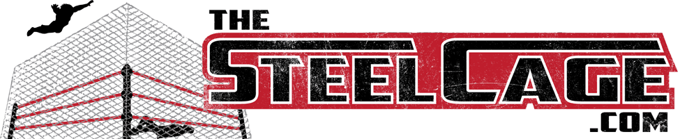 The Steel Cage - Steel Cage - Professional Wrestlers - The Steel Cage (975x200), Png Download