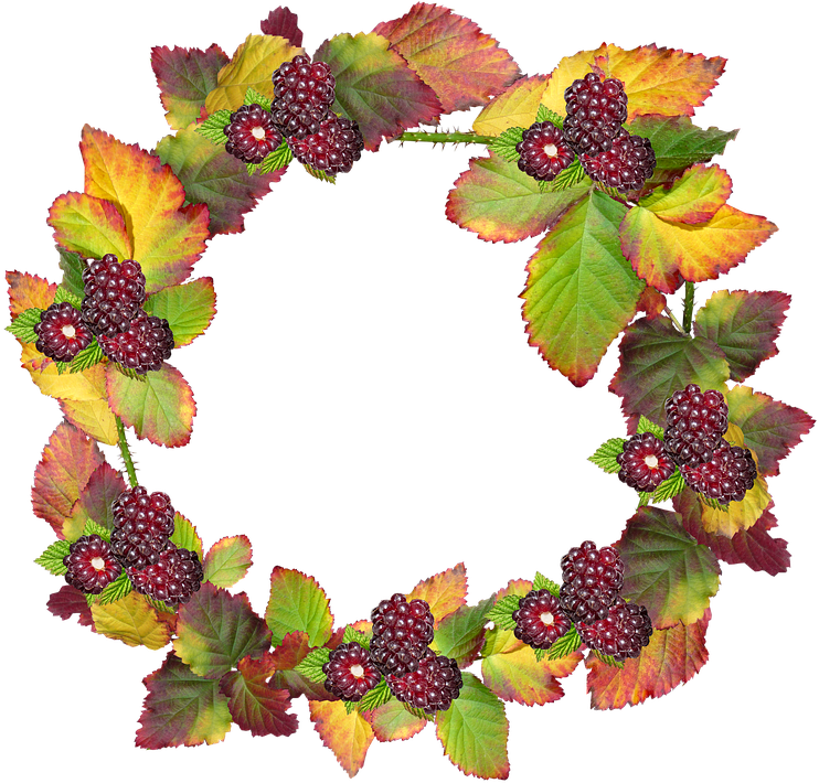 Leaves, Wreath, Frame, Border Autumn, Fall, Berries - Autumn Fall Png (771x720), Png Download